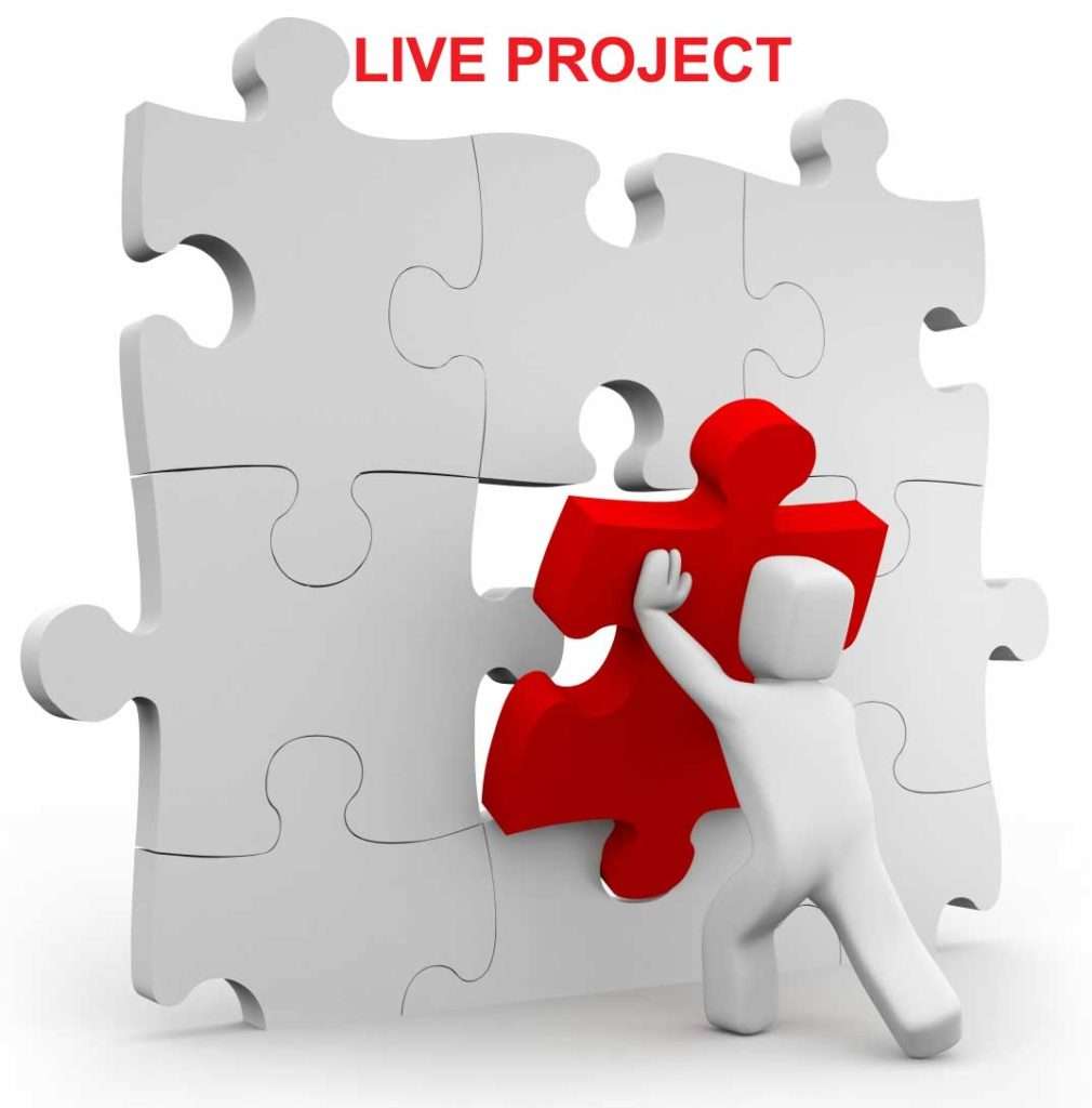 Learn Java Live Project
